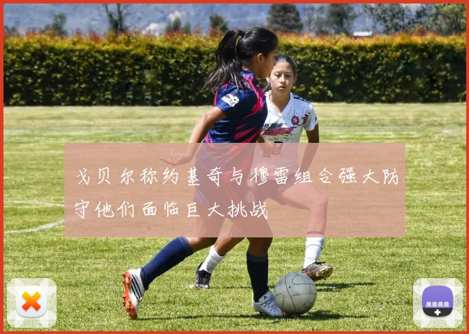 戈贝尔称约基奇与穆雷组合强大防守他们面临巨大挑战